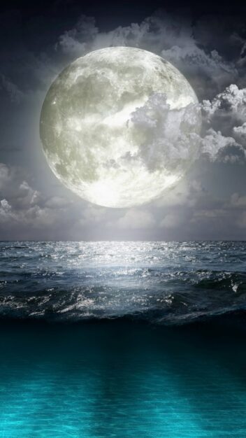Wallpaper_188